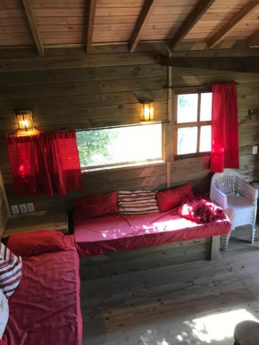 Cabanas no meio a Natureza